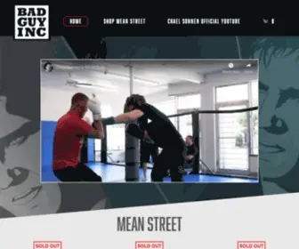 Chaelsonnen.com(Bad Guy Inc) Screenshot