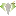 Chaidiamond.co.ke Favicon