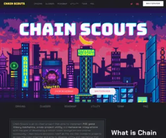 Chainscouts.com(Chain Scouts) Screenshot