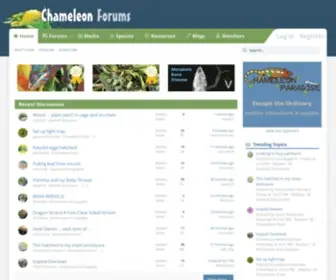 Chameleonforums.com(Chameleon Forums) Screenshot