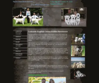 Championenglishgoldens.com(English cream golden retriever puppies) Screenshot