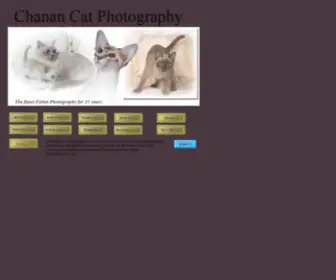 Chanan.com(Cat Photos) Screenshot