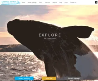 Channelislandswhalewatching.com(Channel Islands Whale Watching) Screenshot