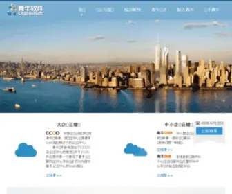 Channelsoft.com(青牛软件) Screenshot