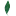 Chapata.in Favicon