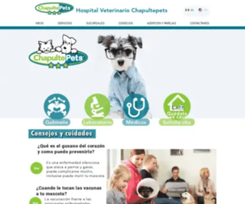 Chapultepets.com(INICIO) Screenshot