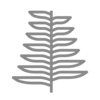Charissemwilliams.com Favicon
