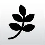 Chartertechservices.com Favicon