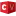 Chartervision.net Logo