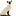 Chatawhilesiamese.com Favicon