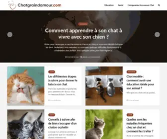 Chatgraindamour.com(Tout sur les chat) Screenshot