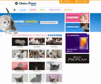 Chats-DE-France.com(Les) Screenshot