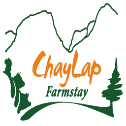 Chaylapfarmstay.com Favicon