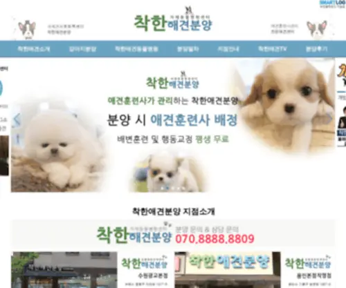 Chdog.co.kr(강아지분양) Screenshot