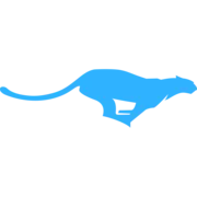 Cheetah-Commerce.ca Favicon