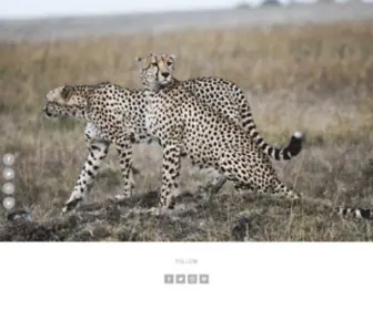 Cheetah-Watch.com(Cheetah Watch) Screenshot