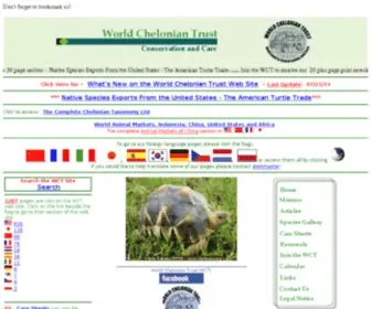 Chelonia.org(World Chelonian Trust) Screenshot