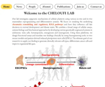 Cheloufilab.org(Histone non coding RNA) Screenshot