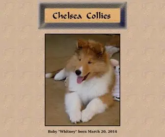 Chelsea-Collies.com(Breeder of Quality Rough Collies and rough Collie puppies and the most comprehensive Collie website) Screenshot