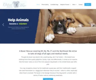 Chelseashopeboxerrescue.com(Chelsea’s Hope Boxer Rescue) Screenshot