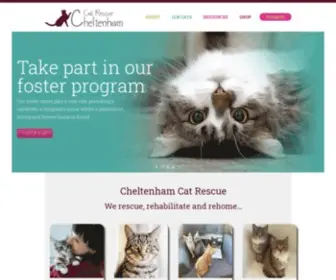 Cheltenhamcatrescue.org.au(Cheltenham Cat Rescue) Screenshot