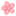 Chencan.ren Favicon