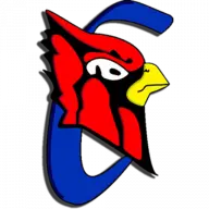 Cheneyathletics.com Favicon