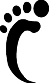 Chenkangwellness.com Logo