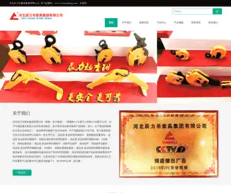 Chenlilifting.com(河北辰力吊索具集团有限公司) Screenshot