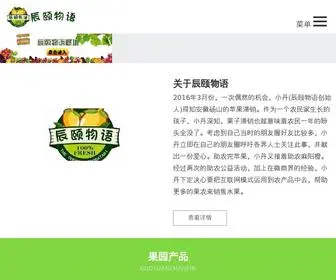 Chenyidaili.com(辰颐物语) Screenshot