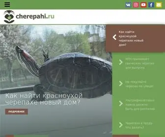 Cherepahi.ru(Сайт) Screenshot