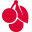 Cherry-World.cn Favicon