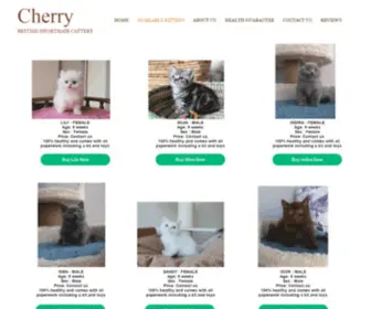 Cherrybritishshorthorthaircattery.com(British Shorthair Kittens For Sale) Screenshot