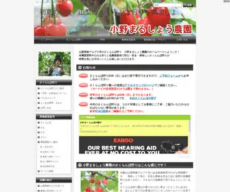 Cherryono.com(Cherryono) Screenshot