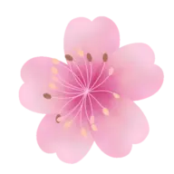 Cherryteaml.fr Favicon
