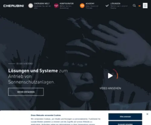 Cherubini-Group.de(Cherubini) Screenshot