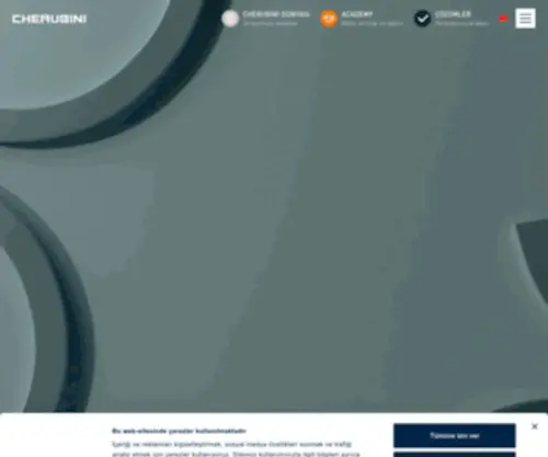 Cherubini.com.tr(Stor perde ve jaluzi için motor ve aksesuar üretimi) Screenshot