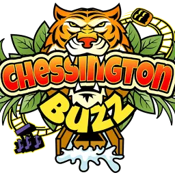 Chessingtonbuzz.com Favicon