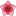 Chetnaisrani.com Favicon