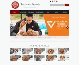 Chevromist.com(Chevromist Kennels Puppies Australia) Screenshot