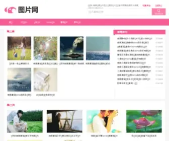 Chexian100.com(车险100网) Screenshot