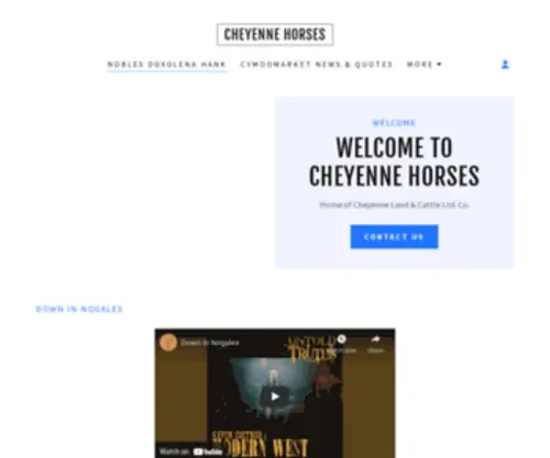 Cheyennehorses.com(Cheyenne Horses) Screenshot