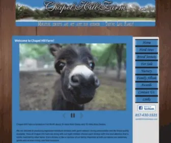 CHfminidonkeys.com(Chapel Hill Farm Mini Donkeys) Screenshot