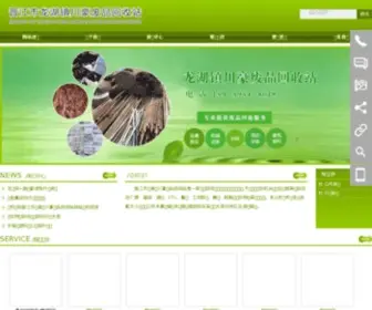 CHFPHS.com(大兴安岭切嫉汽车用品有限公司) Screenshot