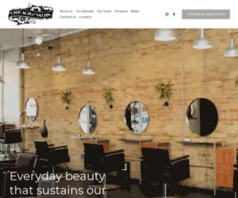 Chicagoavenuesalon.com(Chicago Avenue Salon) Screenshot