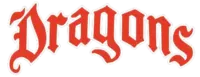 Chicagodragons.com Favicon