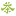 Chichateashop.com Favicon