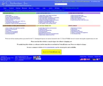 Chichesterinc.com(Chichester, Inc) Screenshot