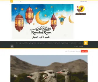 Chickcliniceg.com(الرئيسية) Screenshot