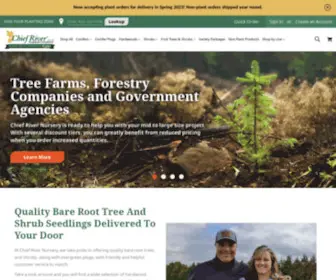 Chiefrivernursery.com(Bare Root Trees For Sale) Screenshot